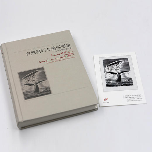 自然权利与美国想象：小说中的政治哲学(文学与思想译丛) 商品图3