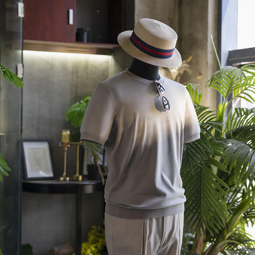 25年新款男士夏日绅士高级 丝棉V领polo/T恤衫 / 亨利衫短袖  三款多色可选 商品图2