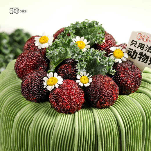 【纤体食材减糖 50%】羽衣甘蓝青苹果杨梅蛋糕，可选 5/6/8 英寸 商品图2