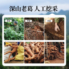 璞匠深山老葛食用葛根粉320g 营养代餐即冲  天然谷物代餐粉早餐葛粉 /粮油调味 /杂粮 /其他杂粮