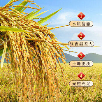 永泽东北大米长粒香米5kg/袋生态种植夏季绿豆粥原料单品包邮10斤装 /粮油调味 /米 /长粒香米 商品图5