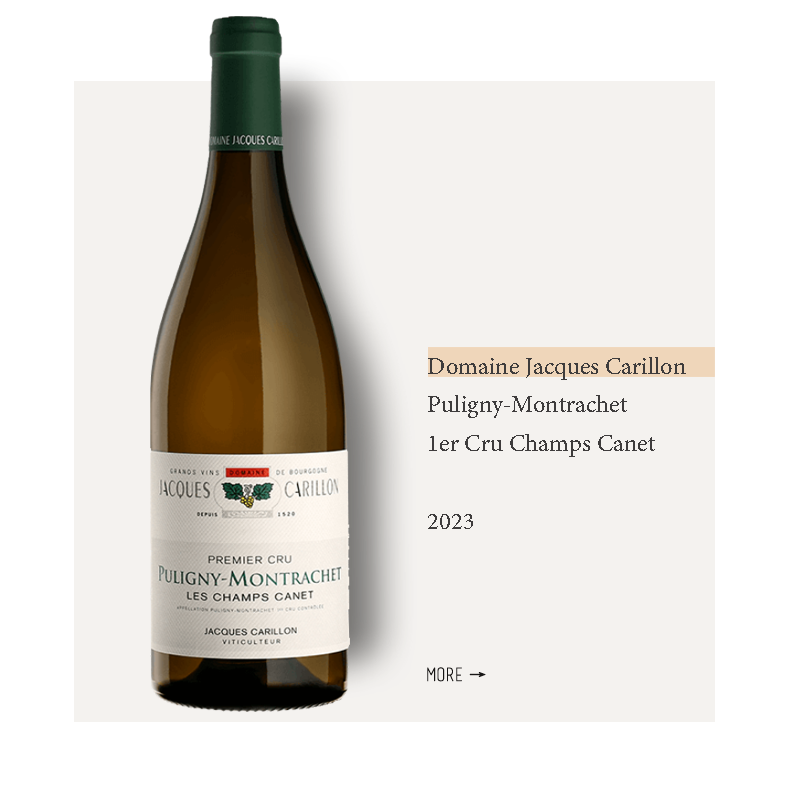 Domaine Jacques Carillon Puligny-Montrachet 1er Cru Champs Canet 2023雅克卡里永酒庄普利尼蒙哈榭尚卡内一级园干白葡萄酒2023