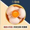 蛋当当可生食无抗鸡蛋 商品缩略图1