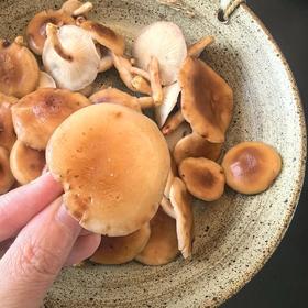 顺丰空运云南深山野生小香蕈头水雨前菇菌肉脆嫩香滑鲜味物质浓度是干菇的3倍无需味精自然鲜香直击味蕾基地直邮