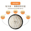 永泽东北大米长粒香米5kg/袋生态种植夏季绿豆粥原料单品包邮10斤装 /粮油调味 /米 /长粒香米 商品缩略图3