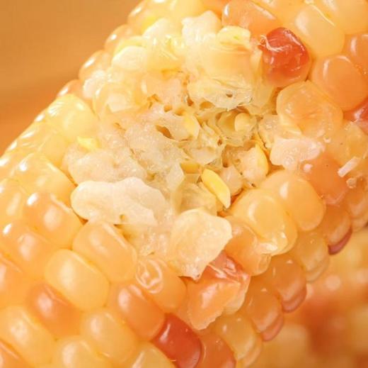 【香糯小玉米】浓浓玉米香，云南西双版纳高原种植，新鲜采摘熟化，Q弹有嚼劲，老人小孩孕妇爱吃的粗粮 商品图1