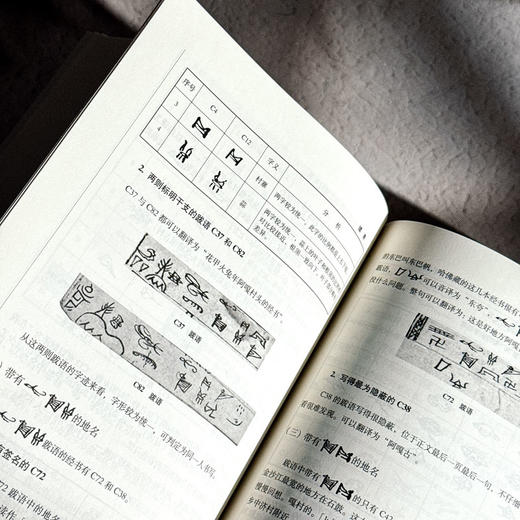 哈佛燕京学社藏纳西东巴经谱系分类方法研究 张春凤 商品图13