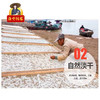 广东潮州杨栈记臻选淡晒大银鱼150g/盒 商品缩略图3