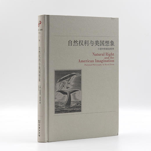 自然权利与美国想象：小说中的政治哲学(文学与思想译丛) 商品图4