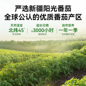 空刻  番茄酱意大利面披萨薯条蘸酱番茄沙司220g*2瓶 /粮油调味 /意大利面 /速食意大利面
