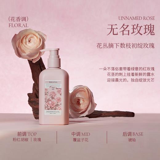 roopy润培 馥奇香氛植物精粹身体乳第三代250ml 日初青橙 柑橘调/ 檀香百合 木质调/无名玫瑰 花香调  轻盈润护 面护油养 亲肤透润 商品图5