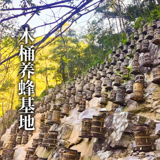 【第二罐超值❗新疆百花土蜂蜜】自然清新的花香味道，享受如丝的顺滑，色如琥晶莹别珀透， 纯正农家自产百花蜜黑蜂蜜天然蜂蜜QQ 商品图3