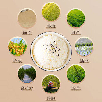 永泽东北大米长粒香米5kg/袋生态种植夏季绿豆粥原料单品包邮10斤装 /粮油调味 /米 /长粒香米 商品图6