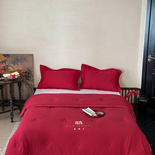 【换季出清】自然醒为爱添囍亲肤刺绣婚庆被新中式喜字结婚刺绣被芯红色春秋冬四季被芯双人床上用品TD 商品图1