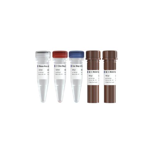 HiScript II One Step qRT-PCR Probe Kit 商品图0