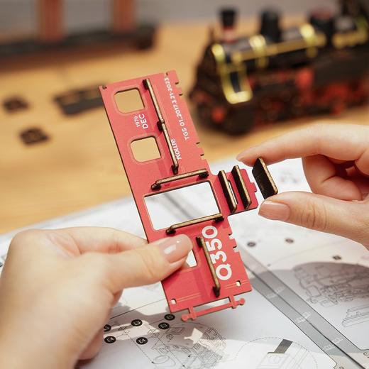 若态50蒸汽火车TGS01 商品图2