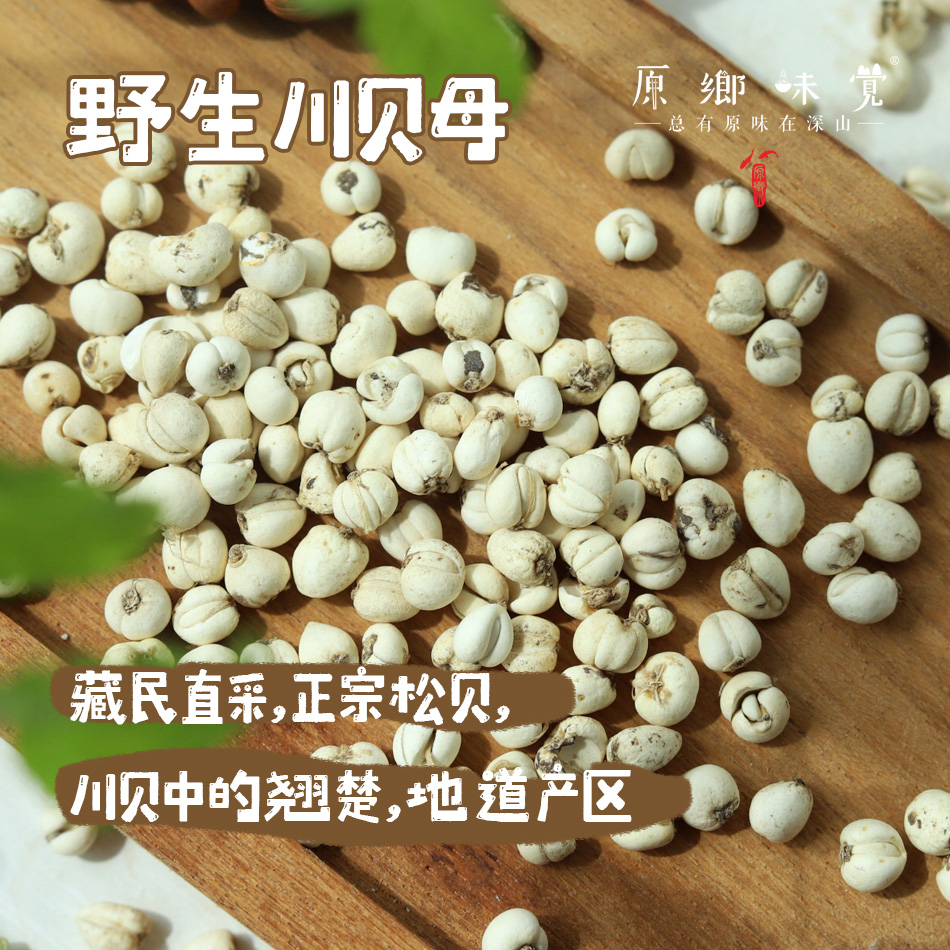 野生川贝母（成都仓库-顺丰快递）| 18g，38g，来自四川阿坝，生产者：松潘藏民【合作生产，公平贸易】