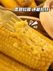 【蒙谷阳光甜糯敖汉玉米】源自内蒙古赤峰市敖汉旗，北纬42°黄金种植玉米带 商品缩略图3