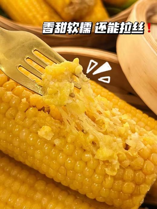 【蒙谷阳光甜糯敖汉玉米】源自内蒙古赤峰市敖汉旗，北纬42°黄金种植玉米带 商品图3