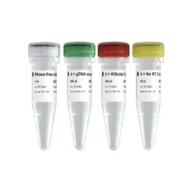 HiScript II Q RT SuperMix for qPCR (+gDNA wiper)