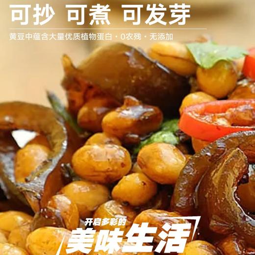 丨有机丨物元东北地道黄豆 可炒 可煮 可发芽 可豆浆 商品图4