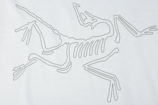 【超惠秒】ARC’ TERYX 始祖鸟 男士徽标logo 排汗透气 干爽舒适 运动速干衣 短袖T恤12390 商品图3