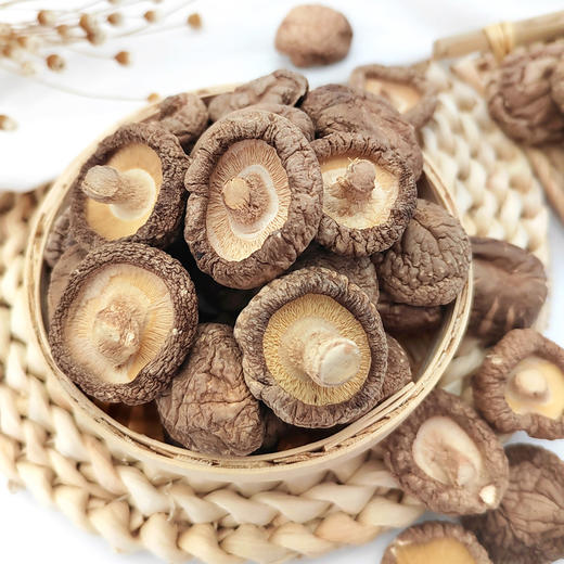 光雾良源香菇500g/袋 商品图1