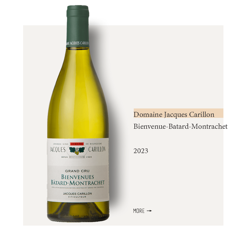 Domaine Jacques Carillon Bienvenue-Batard-Montrachet 2023雅克卡里永酒庄碧维妮巴塔蒙哈榭特级园干白2023