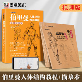 伯里曼人体结构绘画教学人体结构入门教程解剖动态骨骼透视艺考生美术生专用人体素描速写临摹基础初学者入门技法套装