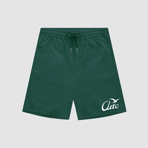 Arte BIRDS LOGO SHORTS 印花宽松短裤 商品图3