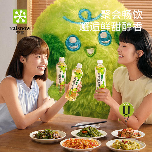 奈雪的茶 青提香乌龙茶 低糖果汁饮料450ml*15瓶箱装 商品图4