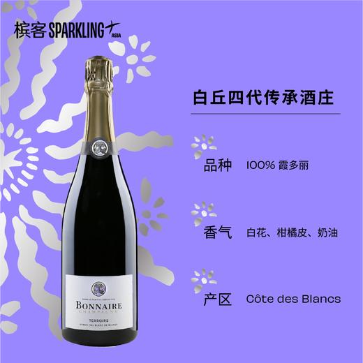 Bonnaire Terroirs Grand Cru Blanc de Blancs 宝奈儿香槟风土特级白中白 750ml/1.5L 商品图9
