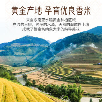 太粮 御泰坊纳象大米10斤 籼米长粒5kg 当季新米 /粮油调味 /米 /油粘米 商品图3