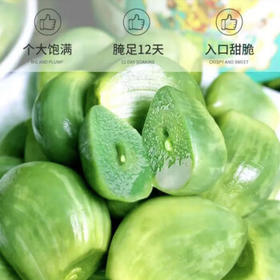 酱倒三缸 酱【淄博产地】正宗淄博翡翠腊八蒜430g*2瓶源头直发包邮 /粮油调味 /调味品 /榨菜/酱腌菜