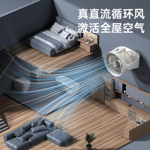 雷沃德桌面循环扇家庭款 商品图2