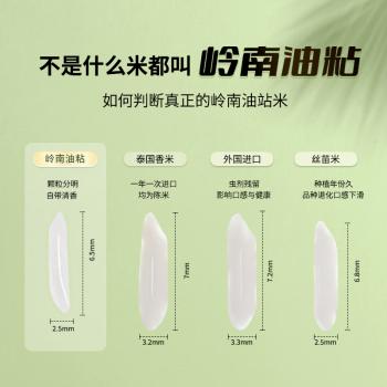 宋稻家 岭南油粘米5斤 南方大米籼米团购 丝苗米猫牙米 /粮油调味 /米 /油粘米 商品图3