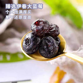 臻桦有机蓝莓果干500g袋【XPTX】