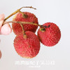 海南 妃子笑鲜荔枝 不泡水的干荔枝，孩子放心吃 商品缩略图3