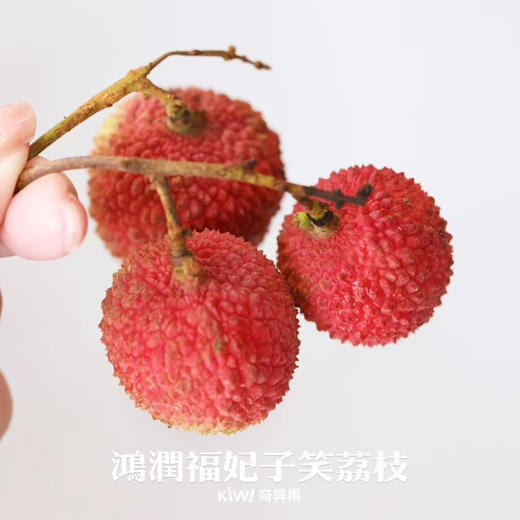 海南 妃子笑鲜荔枝 不泡水的干荔枝，孩子放心吃 商品图3