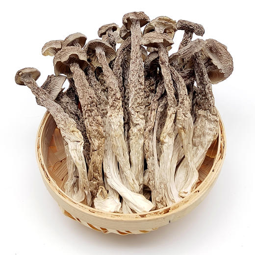 光雾良源鹿茸菇300g/袋 商品图1