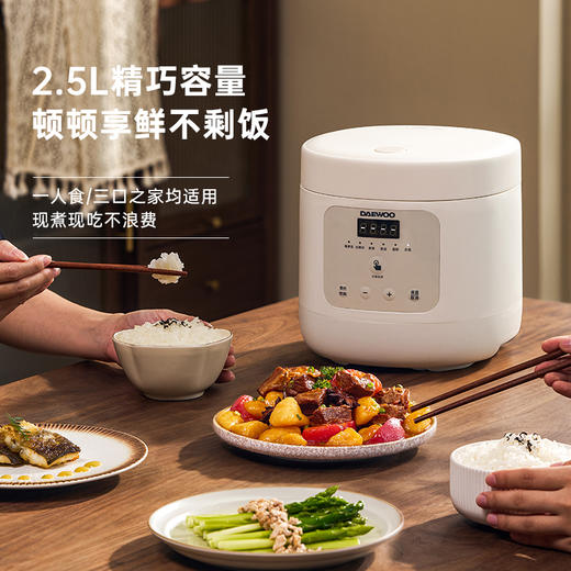 大宇 低糖电饭煲FB10S 一煲两用 双胆蒸煮 长效保温 72小时发货  商品图1