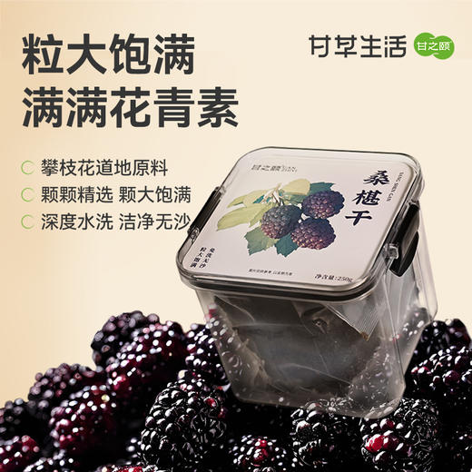 甘之颐 桑葚干250g 精品优质黑桑甚大果泡水茶搭枸杞花素青免洗无沙 商品图0