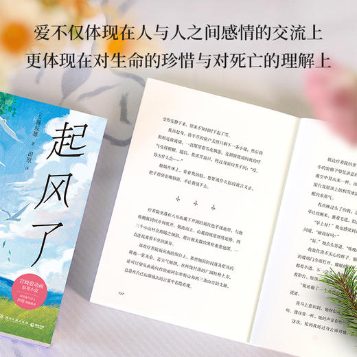 起风了 商品图3