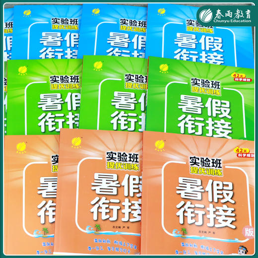 【2025小学暑假衔接】语文/数学/英语 人教/苏教/北师大/译林版/青岛版 一二三四五六年级 123456年级【拼团专用】 商品图2