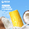 呀谷多东北多味糯玉米蛋黄味麻辣火锅味烧烤味椰奶味 商品缩略图6
