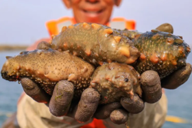 重大发现：营养是鸡蛋的15倍，是牛奶的6倍，多吃全家受益！竟然没有人知道！！ 