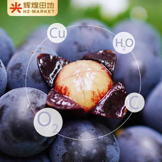 云南蓝莓葡萄（无籽）3斤礼盒装（2-3串） 商品图0