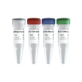 HiScript II One Step RT-PCR Kit