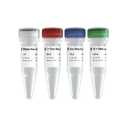 HiScript II One Step RT-PCR Kit 商品图0