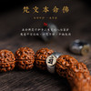 【超值购19.9抢❗金刚菩提手串】原创设计，本命佛天然满肉金刚，肉纹饱满油脂丰富，男女单圈手链复古民族风核桃念珠文玩盘玩把件QQ 商品缩略图3